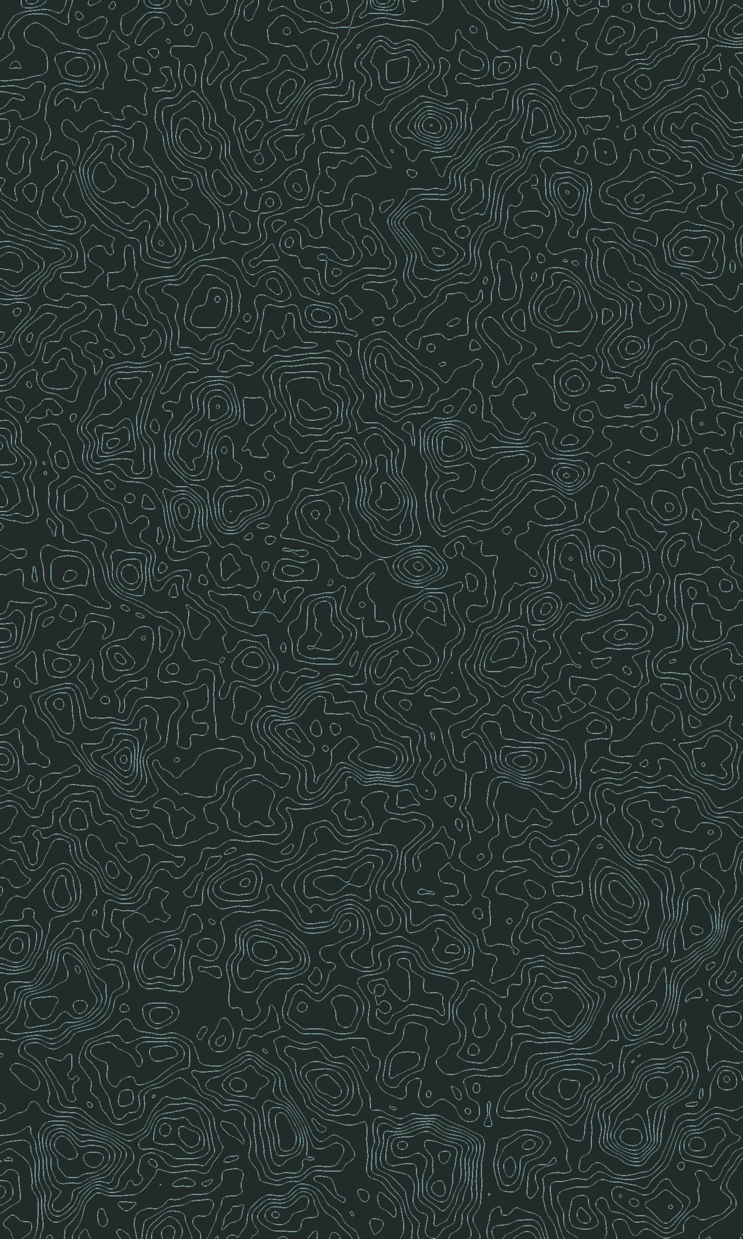 Topographic Background